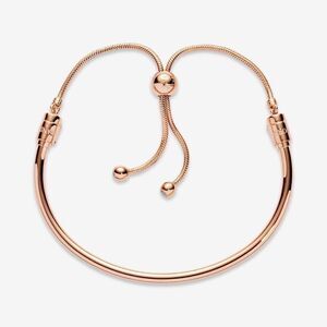 Pandora  Flower Stem Slider Bracelet